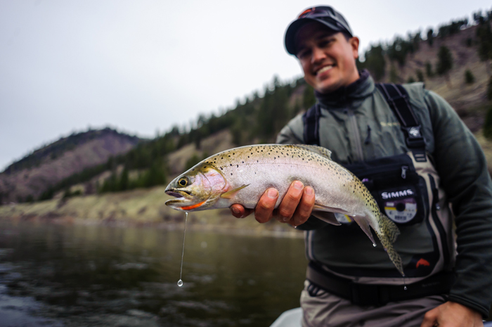 Clark Fork Trout