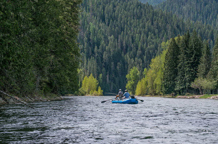 Floating the scenic North Fork of the Coeur d'Alene River in north Idaho while fly fishing for cutthroat trout.