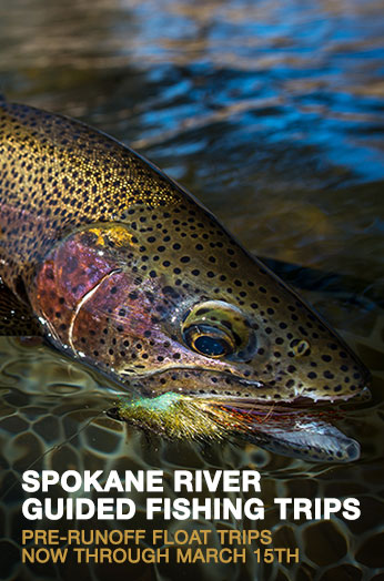 Spokane River Guided Fly Fishing