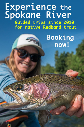 Spokane River Guided Fly Fishing