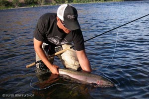 Sean Visintainer releasing a chunky Clearwater River Steelhead in August.