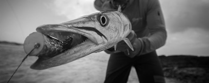 Cuda on the Fly.