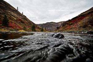 The rich colors of the Grande Ronde Canyon keep us coming back season after season.