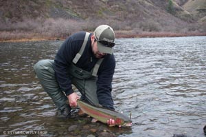 Mark releasing a beautiful hatchery caught near Boggan's Oasis on the Grande Ronde.