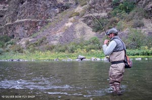 Silver Bow guide Josh giving the old single hander a work out on a Grande Ronde steelhead.