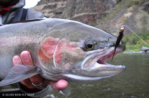 Who said the prince nymph was just a trout fly? The prince is a killer steelhead pattern in the fall.