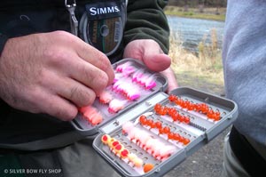 Some egg appetizers for winter steelhead on the Grande Ronde River.