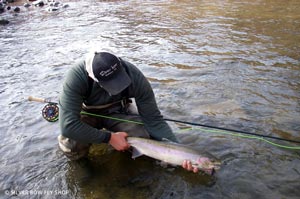 Sean Visintainer holding a solid slab of a steelhead caught on the Winston Biix Spey Rod and Hatch 9+ Reel.