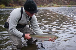 A lightly colored hen caught on the Grande Ronde River. Does this photo look familiar on other websites??