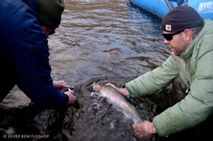 John Jr. releasing another awesome steelhead from the Grande Ronde.