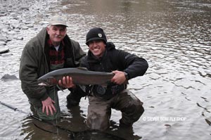 A solid Grande Ronde steelhead destined for the smoker.