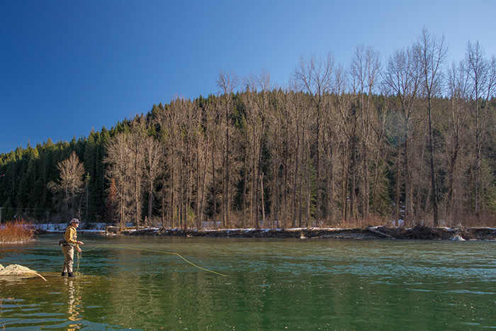 Fly Fishing North Idaho Coeur d'alene River