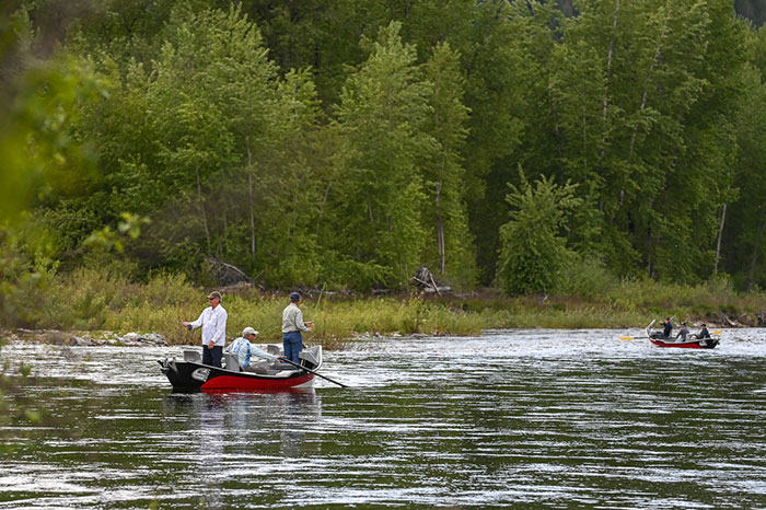 North Idaho Dry Flies