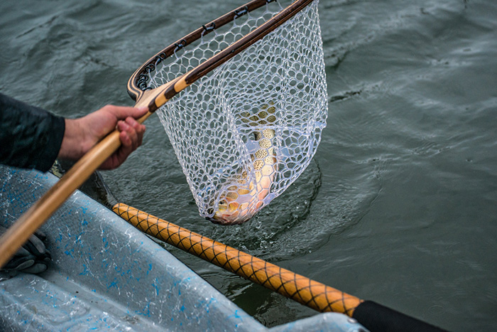 Cutthroat Trout Fishing Idaho.
