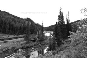 The upper meadows on a North Fork of the Coeur d'Alene drainage tributary.