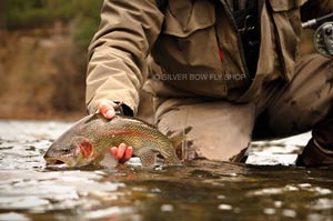 Josh letting a finely spotted Red Band rainbow back in to the Spokane River.