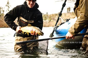 This Spokane River brown trout was tricked into thinking the Big Bird Bugger was just another tasty snack.