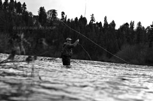 Silver Bow Fly Shop guide Josh Seaton not giving up on the Spokane towards the end of the day.