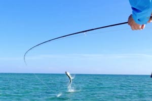 Fly Fishing Cuba for Tarpon